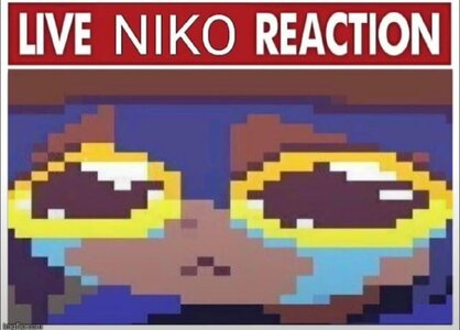 hello-i-have-joined-the-niko-defense-force-and-i-have-v0-m1j65hm9vx9g1.jpg