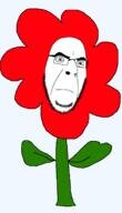 thumb.jpg