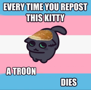 1770976344565m.png