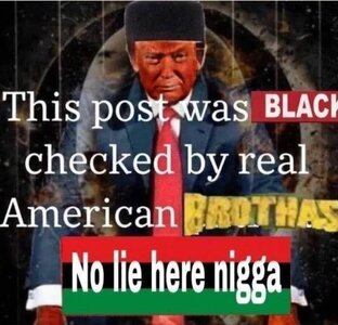 IMG_0850.jpeg