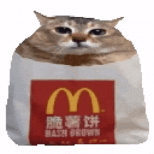 1775797161579644.gif