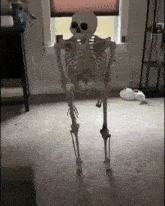 skull-fall.gif