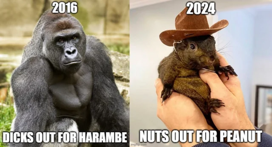 1776215400116.png