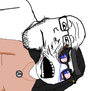 1739742989574y.png