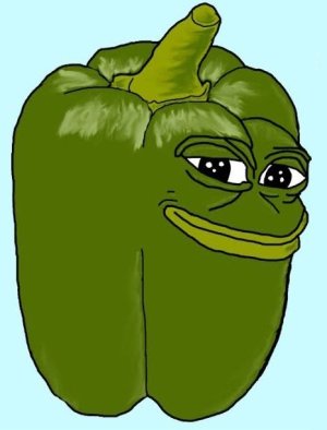1602831273372.jpg