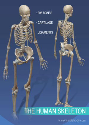 1781234000752.png