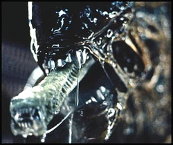 1781302415230.png