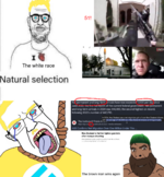 1749341931619.png