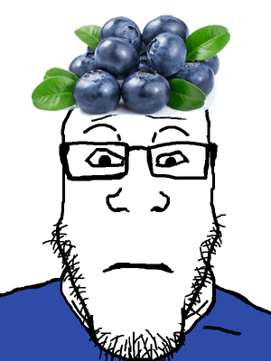 neutralplier (blueberry fan).png