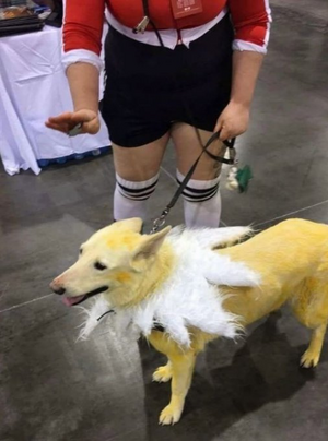 1791890775870.png