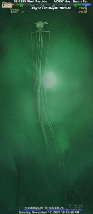IMG_0896.jpeg