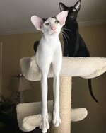 IMG_6341.jpeg