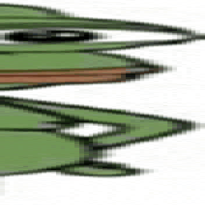 nigger5.png