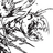Apolloyon