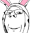 cute bunnies WABAG